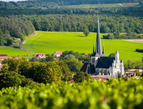 Découvrons trois destinations européennes pour tout amoureux de vins